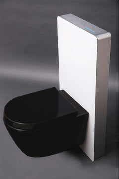 WC ensemble complet 39 : WC B-8030R Noir