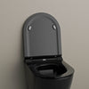 Abattant WC universel U2019 - fonction Softclose - Noir brillant