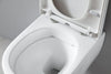 WC suspendu NANO NT2039