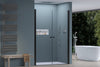 Porte de douche en niche battantes doubles NT218